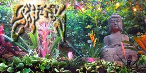 Image: A tranquil garden scene featuring a stone buddha statue surrounded by lush greenery and vibrant tropical flowers, with a blurred overlay of a tiger pattern in the center, capturing a picture-perfect moment. -- D.C. Douglas