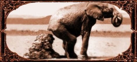 Image: Sepia-toned image of an elephant standing beside a large rock, framed in an ornate, vintage-style border. The background features a blurred landscape, possibly after the circus. -- D.C. Douglas