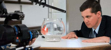 Image: A man in a suit intently observes a goldfish in a bowl on a table, with a video camera recording his performance. -- D.C. Douglas