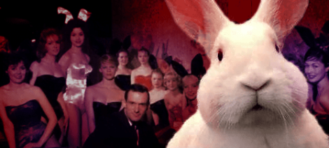 Image: A stylized collage showcasing a large, forward-facing white rabbit with expressive eyes, superimposed over a background of people in formal attire, featuring a playboy actor, suggesting a glamorous event atmosphere. -- D.C. Douglas
