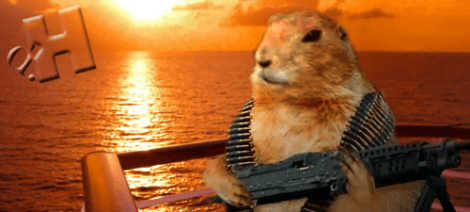 Image: A photoshopped image of a groundhog holding an assault rifle, wearing a bullet vest, with a sunset over an ocean in the background and a large letter 'h' floating in the sky. -- D.C. Douglas