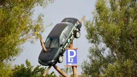 A black car is positioned on a tree branch with a parking sign below it.
