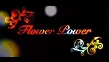 Gadfly: Breaking News &Amp; Tweaked Nipples | D.c. Douglas Graphic design featuring the words 'Flower Power' with decorative elements in vibrant colors.