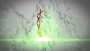 Navigating The Intricacies Of Medical Narration: From Corporate Videos To Patient Education | D.c. Douglas 3D illustration featuring a prominent red DNA strand among gray strands in a digital environment.