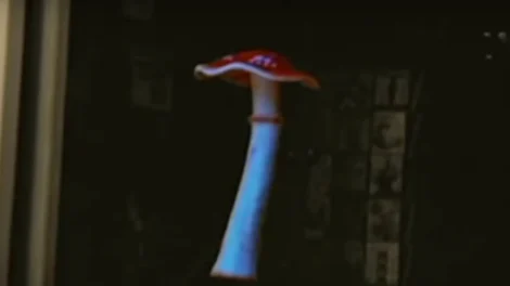 A mushroom featuring a red cap with white spots and a tall white stem against a dark background.