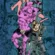 Yoshikage Kira Returns